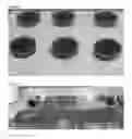 Fig. 02 - Wound dressing materials incorporating anthocyanins derived from fruit or vegetable sources