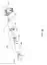 Fig. 06 - Infusion pump assembly