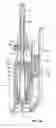 Fig. 43 - Auto-injector and drive unit therefor