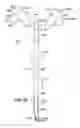 Fig. 10 - Medical tubes for selective mechanical ventilation of the lungs