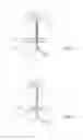 Fig. 03 - RETRACTABLE TUBE FOR CPAP