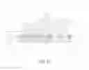Fig. 11 - Catheter and balloon catheter