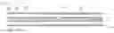Fig. 01 - INTERVENTIONAL BALLOON SYSTEM INCLUDING DEFLATION GUIDANCE