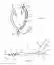 Fig. 15 - Apparatus and methods for treating obstructions within body lumens