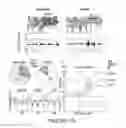 Fig. 07 - System to deliver adaptive epidural and/or subdural electrical spinal cord stimulation to facilitate and restore locomotion after a neuromotor impairment