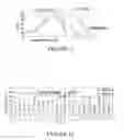 Fig. 08 - System to deliver adaptive epidural and/or subdural electrical spinal cord stimulation to facilitate and restore locomotion after a neuromotor impairment
