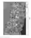 Fig. 13 - Segregation resistant perovskite oxides with surface modification