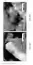 Fig. 53 - Segregation resistant perovskite oxides with surface modification