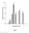 Fig. 06 - Functionalized polyolefin capillaries for open tubular ion chromatography