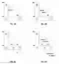 Fig. 08 - Determining a virtual representation of an environment by projecting texture patterns