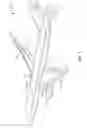 Fig. 02 - Decorative laminates including thermoplastic ink layers and related methods