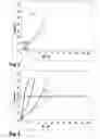 Fig. 03 - Tire with carcass reinforcers, hooping reinforcers, and working reinforcers constituting a triangulation