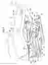 Fig. 08 - Vehicle seat