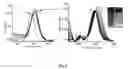 Fig. 02 - Coumarin derivative for detection of cysteine and process for the synthesis thereof