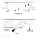 Fig. 03 - ENZYME-DIRECTED IMMUNOSTIMULANT AND USES THEREOF CROSS-REFERENCE TO RELATED APPLICATION(S)