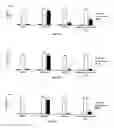 Fig. 06 - ENZYME-DIRECTED IMMUNOSTIMULANT AND USES THEREOF CROSS-REFERENCE TO RELATED APPLICATION(S)