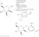 Fig. 12 - ENZYME-DIRECTED IMMUNOSTIMULANT AND USES THEREOF CROSS-REFERENCE TO RELATED APPLICATION(S)