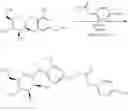 Fig. 14 - ENZYME-DIRECTED IMMUNOSTIMULANT AND USES THEREOF CROSS-REFERENCE TO RELATED APPLICATION(S)