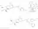 Fig. 15 - ENZYME-DIRECTED IMMUNOSTIMULANT AND USES THEREOF CROSS-REFERENCE TO RELATED APPLICATION(S)