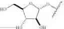 Fig. 19 - ENZYME-DIRECTED IMMUNOSTIMULANT AND USES THEREOF CROSS-REFERENCE TO RELATED APPLICATION(S)