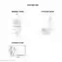Fig. 35 - Nucleic acids and proteins from streptococcus groups A and B