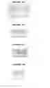 Fig. 45 - Nucleic acids and proteins from streptococcus groups A and B