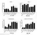 Fig. 11 - Antibodies that bind interleukin-2 and uses thereof