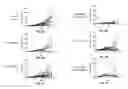 Fig. 13 - Antibodies that bind interleukin-2 and uses thereof