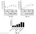 Fig. 16 - Antibodies that bind interleukin-2 and uses thereof