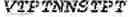 Fig. 06 - Fusion proteins comprising an anti-CD40 antibody and HIV antigenic peptides