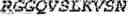 Fig. 100 - Fusion proteins comprising an anti-CD40 antibody and HIV antigenic peptides