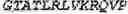 Fig. 131 - Fusion proteins comprising an anti-CD40 antibody and HIV antigenic peptides