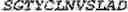 Fig. 141 - Fusion proteins comprising an anti-CD40 antibody and HIV antigenic peptides