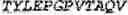 Fig. 149 - Fusion proteins comprising an anti-CD40 antibody and HIV antigenic peptides