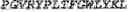 Fig. 15 - Fusion proteins comprising an anti-CD40 antibody and HIV antigenic peptides
