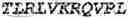 Fig. 192 - Fusion proteins comprising an anti-CD40 antibody and HIV antigenic peptides