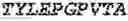 Fig. 211 - Fusion proteins comprising an anti-CD40 antibody and HIV antigenic peptides