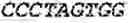 Fig. 217 - Fusion proteins comprising an anti-CD40 antibody and HIV antigenic peptides