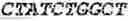 Fig. 218 - Fusion proteins comprising an anti-CD40 antibody and HIV antigenic peptides