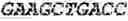 Fig. 219 - Fusion proteins comprising an anti-CD40 antibody and HIV antigenic peptides