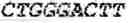 Fig. 221 - Fusion proteins comprising an anti-CD40 antibody and HIV antigenic peptides