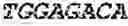 Fig. 222 - Fusion proteins comprising an anti-CD40 antibody and HIV antigenic peptides