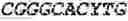 Fig. 225 - Fusion proteins comprising an anti-CD40 antibody and HIV antigenic peptides
