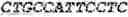 Fig. 232 - Fusion proteins comprising an anti-CD40 antibody and HIV antigenic peptides