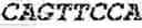Fig. 235 - Fusion proteins comprising an anti-CD40 antibody and HIV antigenic peptides
