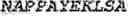 Fig. 32 - Fusion proteins comprising an anti-CD40 antibody and HIV antigenic peptides