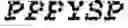 Fig. 44 - Fusion proteins comprising an anti-CD40 antibody and HIV antigenic peptides