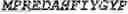 Fig. 45 - Fusion proteins comprising an anti-CD40 antibody and HIV antigenic peptides