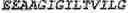 Fig. 47 - Fusion proteins comprising an anti-CD40 antibody and HIV antigenic peptides