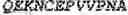 Fig. 49 - Fusion proteins comprising an anti-CD40 antibody and HIV antigenic peptides